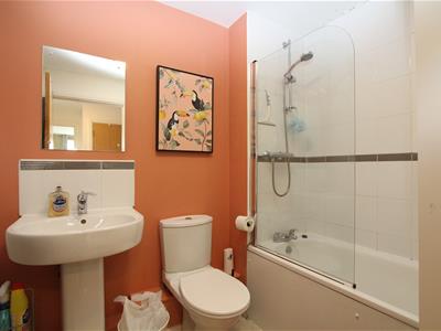 Picture 5